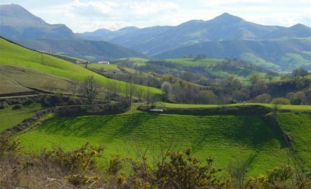 Domaine Xixtaberri Hotel Cambo-les-Bains Eksteriør billede